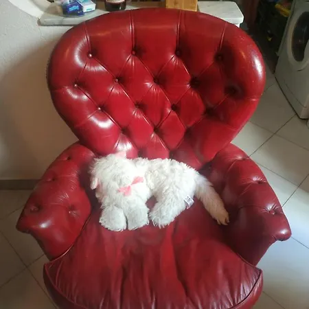 Casa Pg Per Famiglie Gruppi O Smart Working בית אירוח